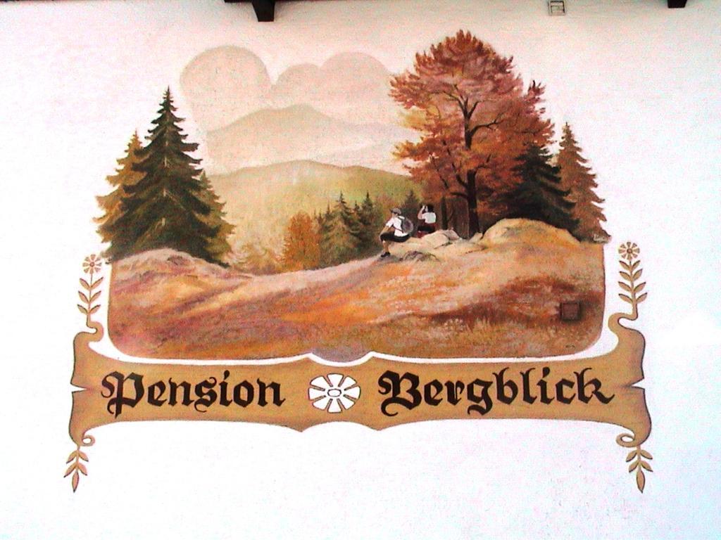 Pension Bergblick Bayerisch Eisenstein Extérieur photo